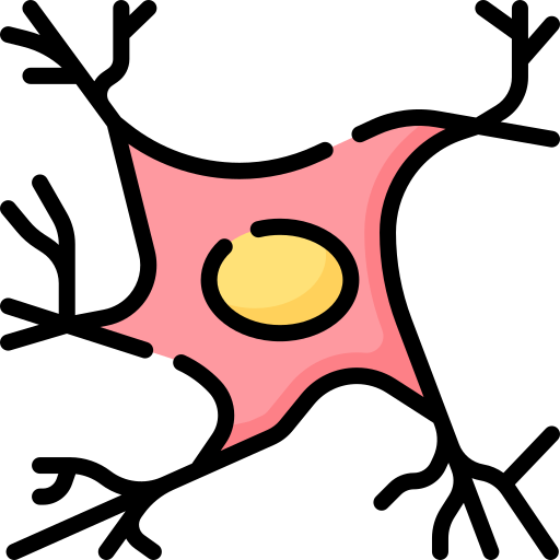 astrocyte