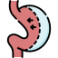 bariatric-surgery