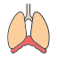 chest