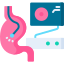 endoscopy