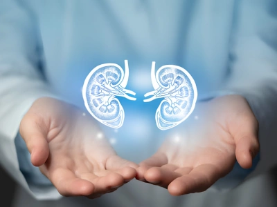 Cupped hands cradle a glowing blue illustration of kidneys showing internal structures in front of a medical backdrop