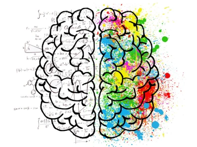 Stylized brain split into two hemispheres: left in black-and-white with equations, right in colorful paint splashes representing creativity.