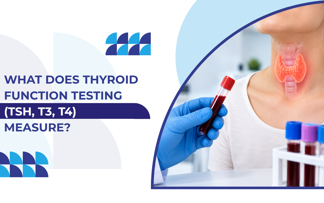 What Does Thyroid Function Testing (TSH, T3, T4) Measure